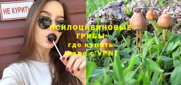 герыч Медвежьегорск