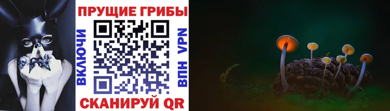 Галлюциногенные грибы GOLDEN TEACHER как найти закладки Сурск